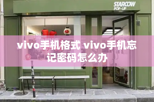 vivo手机格式 vivo手机忘记密码怎么办-第1张图片-星选测评