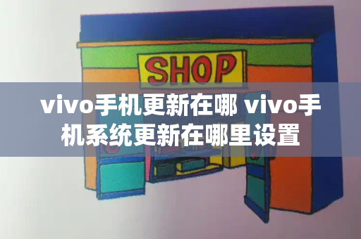 vivo手机更新在哪 vivo手机系统更新在哪里设置-第1张图片-星选测评