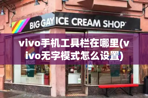 vivo手机工具栏在哪里(vivo无字模式怎么设置)