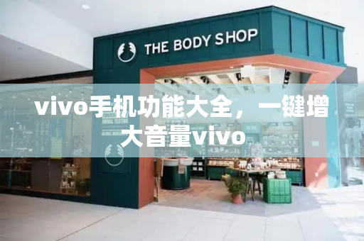 vivo手机功能大全，一键增大音量vivo-第1张图片-星选测评