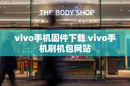 vivo手机固件下载 vivo手机刷机包网站-第1张图片-星选测评