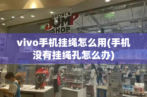 vivo手机挂绳怎么用(手机没有挂绳孔怎么办)
