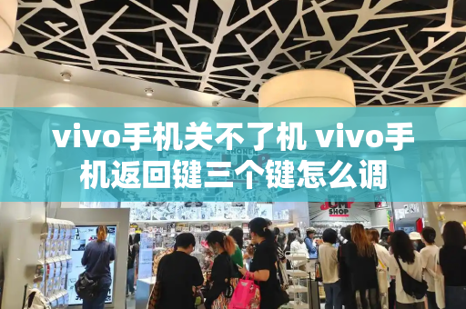 vivo手机关不了机 vivo手机返回键三个键怎么调