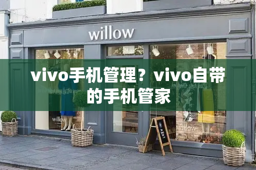 vivo手机管理？vivo自带的手机管家-第1张图片-星选测评