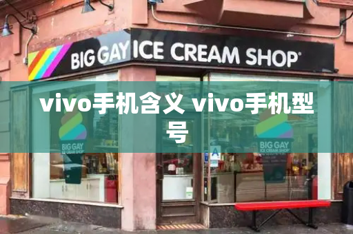 vivo手机含义 vivo手机型号-第1张图片-星选测评