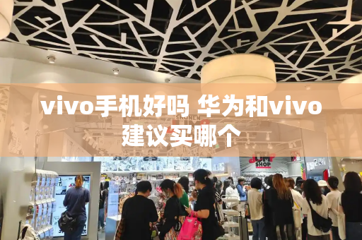 vivo手机好吗 华为和vivo建议买哪个-第1张图片-星选测评
