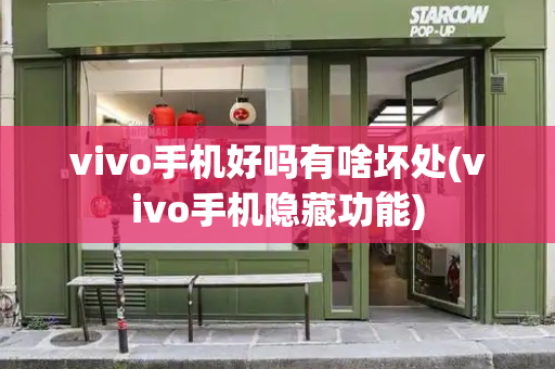 vivo手机好吗有啥坏处(vivo手机隐藏功能)-第1张图片-星选测评