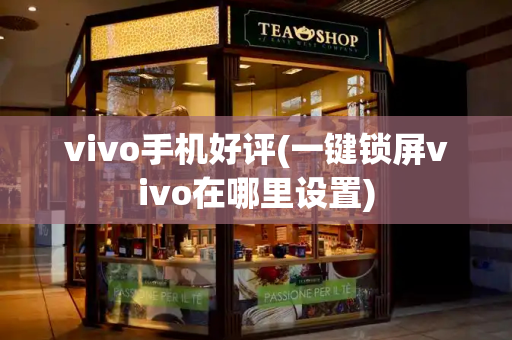 vivo手机好评(一键锁屏vivo在哪里设置)