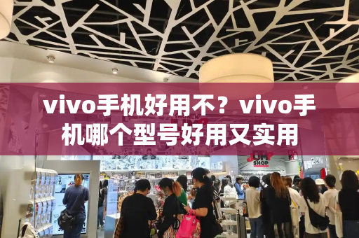 vivo手机好用不？vivo手机哪个型号好用又实用-第1张图片-星选测评