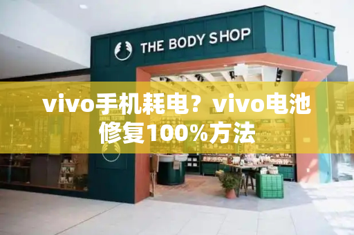 vivo手机耗电？vivo电池修复100%方法-第1张图片-星选测评