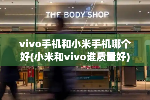 vivo手机和小米手机哪个好(小米和vivo谁质量好)-第1张图片-星选测评