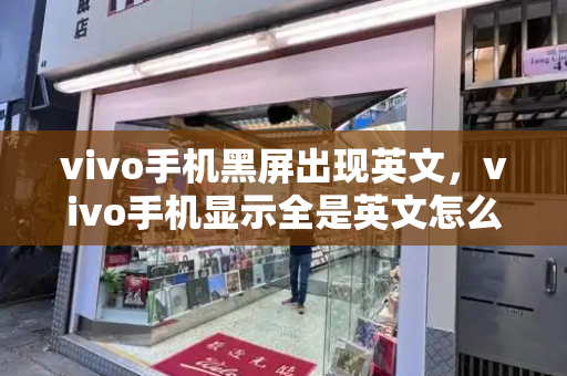 vivo手机黑屏出现英文，vivo手机显示全是英文怎么办