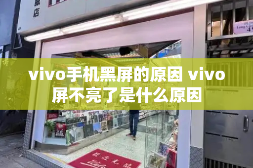 vivo手机黑屏的原因 vivo屏不亮了是什么原因