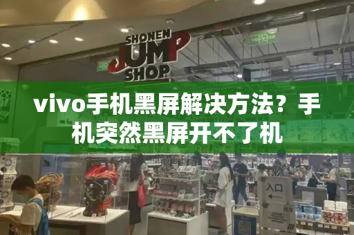 vivo手机黑屏解决方法？手机突然黑屏开不了机-第1张图片-星选测评
