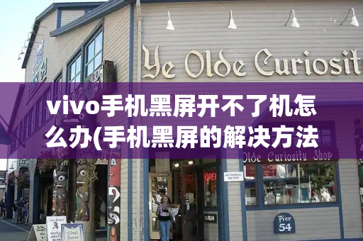 vivo手机黑屏开不了机怎么办(手机黑屏的解决方法)