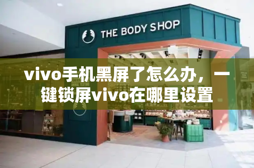 vivo手机黑屏了怎么办，一键锁屏vivo在哪里设置