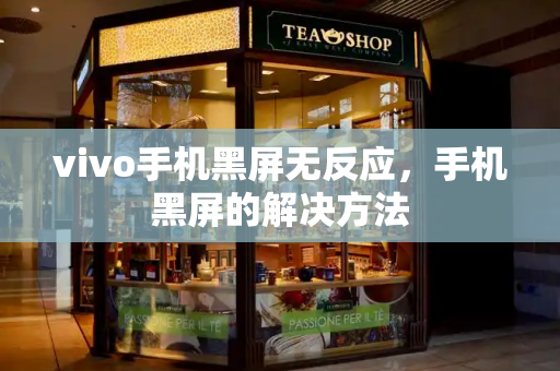 vivo手机黑屏无反应，手机黑屏的解决方法