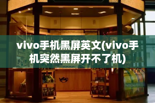 vivo手机黑屏英文(vivo手机突然黑屏开不了机)-第1张图片-星选测评
