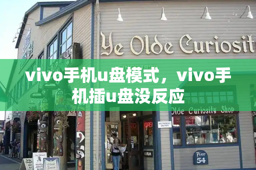 vivo手机u盘模式，vivo手机插u盘没反应-第1张图片-星选测评