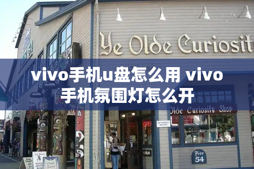 vivo手机u盘怎么用 vivo手机氛围灯怎么开-第1张图片-星选测评