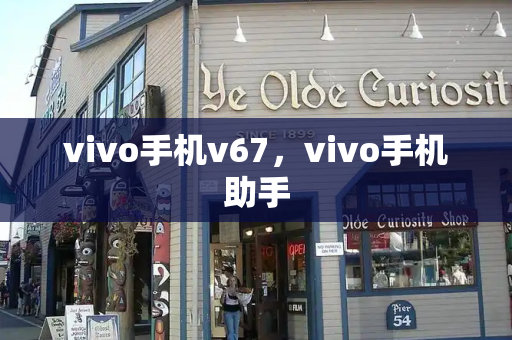 vivo手机v67，vivo手机助手-第1张图片-星选测评
