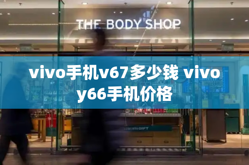 vivo手机v67多少钱 vivoy66手机价格