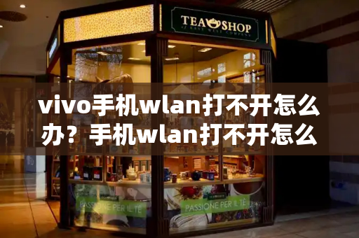 vivo手机wlan打不开怎么办？手机wlan打不开怎么解决