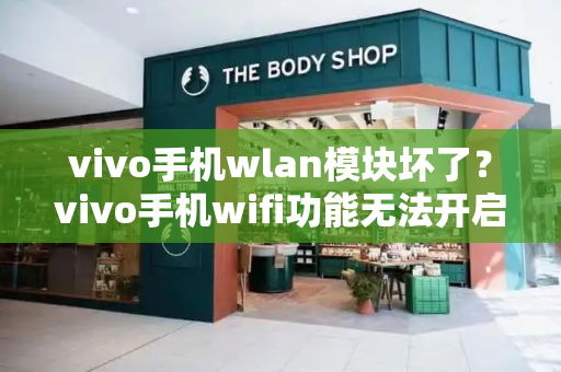 vivo手机wlan模块坏了？vivo手机wifi功能无法开启-第1张图片-星选测评