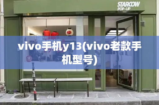 vivo手机y13(vivo老款手机型号)-第1张图片-星选测评