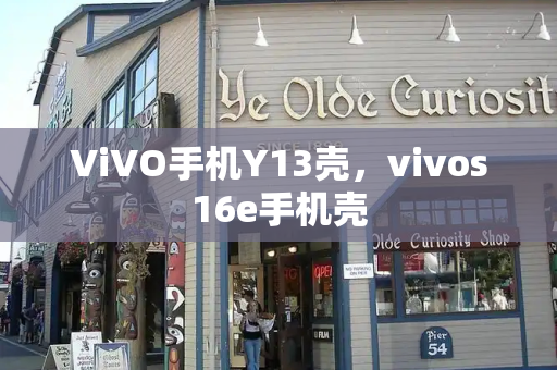 ViVO手机Y13壳，vivos16e手机壳-第1张图片-星选测评