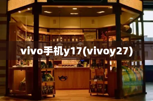 vivo手机y17(vivoy27)