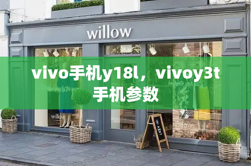 vivo手机y18l，vivoy3t手机参数-第1张图片-星选测评