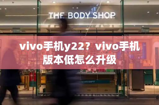vivo手机y22？vivo手机版本低怎么升级