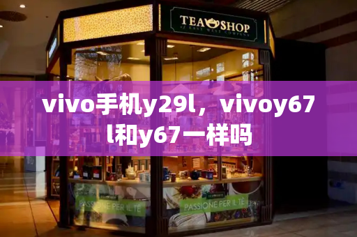 vivo手机y29l，vivoy67l和y67一样吗-第1张图片-星选测评