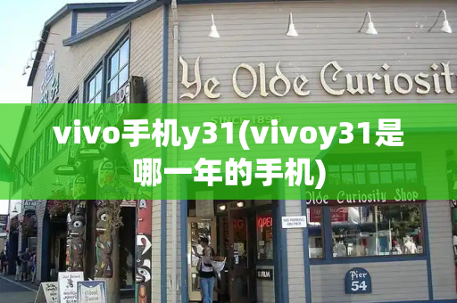 vivo手机y31(vivoy31是哪一年的手机)-第1张图片-星选测评