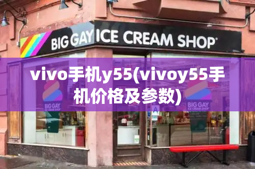 vivo手机y55(vivoy55手机价格及参数)