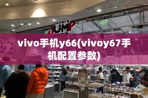 vivo手机y66(vivoy67手机配置参数)