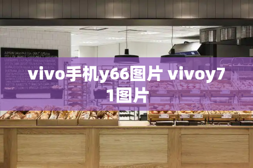 vivo手机y66图片 vivoy71图片