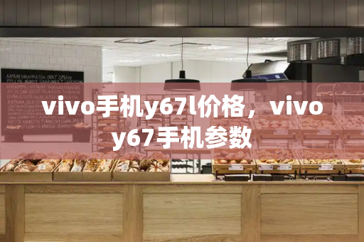 vivo手机y67l价格，vivoy67手机参数-第1张图片-星选测评