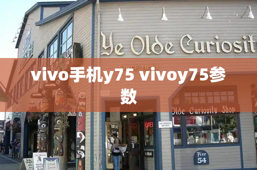 vivo手机y75 vivoy75参数
