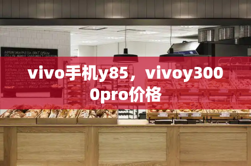 vivo手机y85，vivoy3000pro价格