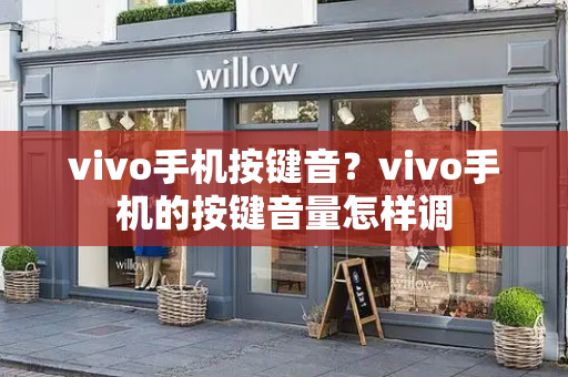 vivo手机按键音？vivo手机的按键音量怎样调
