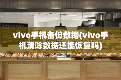 vivo手机备份数据(vivo手机清除数据还能恢复吗)