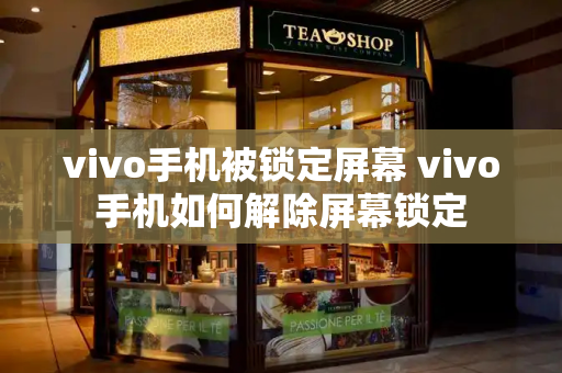 vivo手机被锁定屏幕 vivo手机如何解除屏幕锁定-第1张图片-星选测评