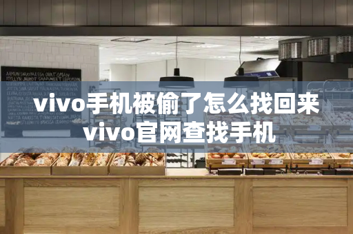 vivo手机被偷了怎么找回来 vivo官网查找手机-第1张图片-星选测评
