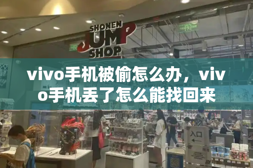 vivo手机被偷怎么办，vivo手机丢了怎么能找回来-第1张图片-星选测评