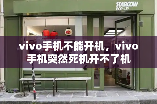 vivo手机不能开机，vivo手机突然死机开不了机
