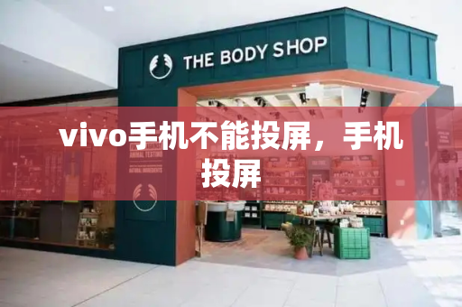 vivo手机不能投屏，手机投屏