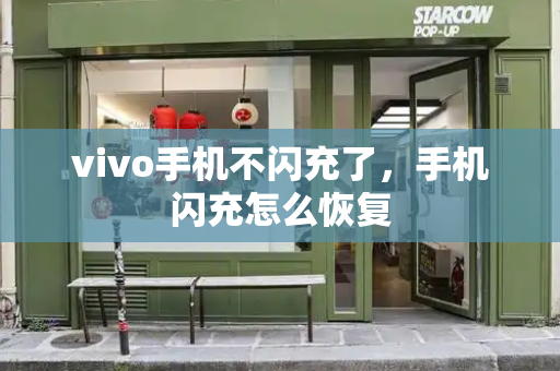 vivo手机不闪充了，手机闪充怎么恢复-第1张图片-星选测评
