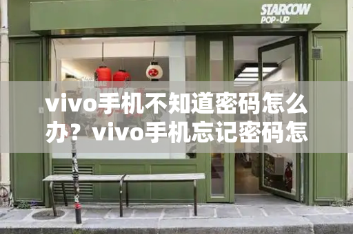 vivo手机不知道密码怎么办？vivo手机忘记密码怎么弄开-第1张图片-星选测评